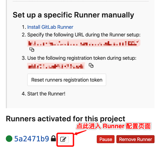 进入 Runner 配置